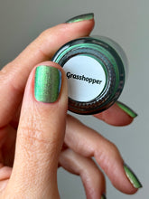 Grasshopper - PREORDER