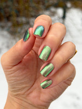 Grasshopper - PREORDER