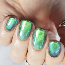 Grasshopper - PREORDER