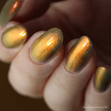 Autograph Hounds - PREORDER