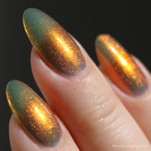 Autograph Hounds - PREORDER