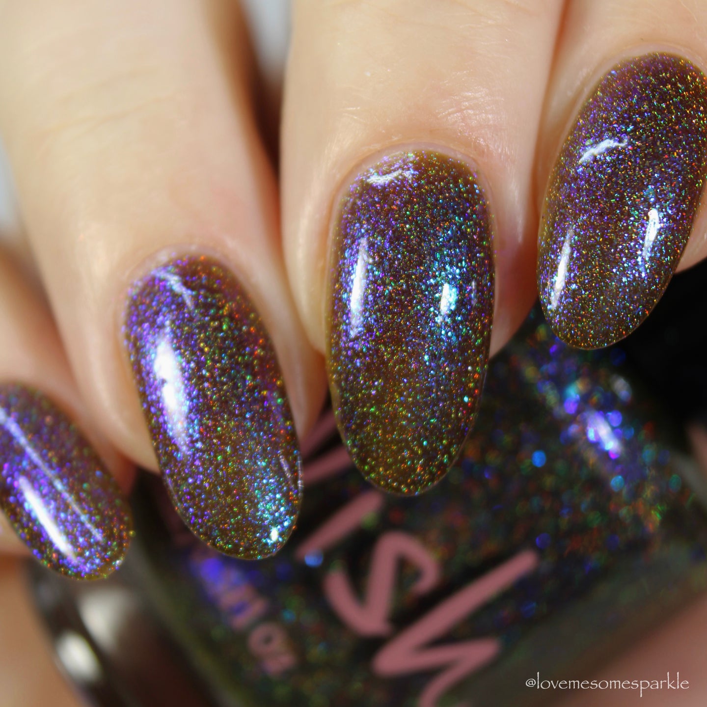 Poison Thorny Flowers - PREORDER