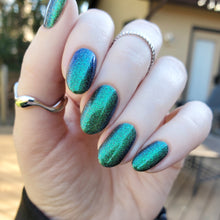 Infamy Loves Company