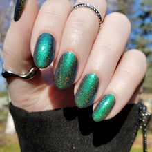 Infamy Loves Company