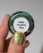 Noble Parakeet King - PREORDER