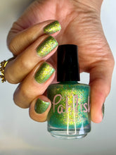Noble Parakeet King - PREORDER