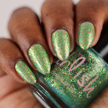 Noble Parakeet King - PREORDER